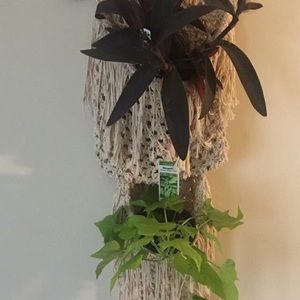 Wall hanging made of crochet 🧶